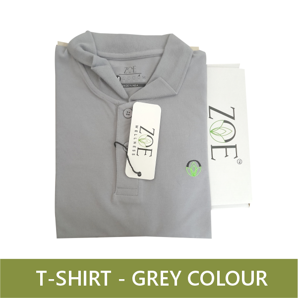 T-SHIRT GREY (XL)